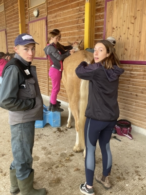 Yssingeaux : les filières équine et agricole rassemblées dans un même concours