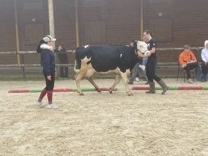 Yssingeaux : les filières équine et agricole rassemblées dans un même concours