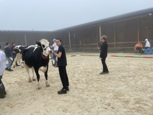 Yssingeaux : les filières équine et agricole rassemblées dans un même concours