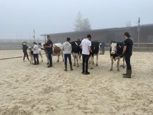 Yssingeaux : les filières équine et agricole rassemblées dans un même concours