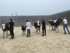 Yssingeaux : les filières équine et agricole rassemblées dans un même concours