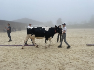 Yssingeaux : les filières équine et agricole rassemblées dans un même concours