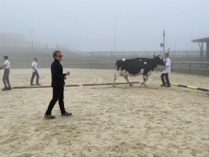 Yssingeaux : les filières équine et agricole rassemblées dans un même concours