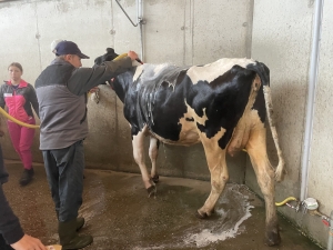 Yssingeaux : les filières équine et agricole rassemblées dans un même concours