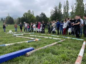 Yssingeaux : les filières équine et agricole rassemblées dans un même concours