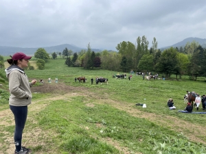 Yssingeaux : les filières équine et agricole rassemblées dans un même concours