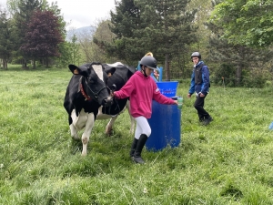 Yssingeaux : les filières équine et agricole rassemblées dans un même concours