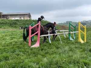 Yssingeaux : les filières équine et agricole rassemblées dans un même concours