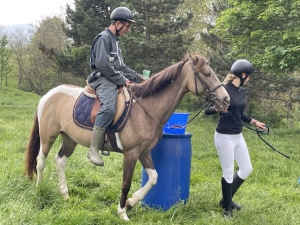 Yssingeaux : les filières équine et agricole rassemblées dans un même concours