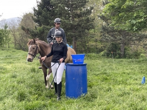 Yssingeaux : les filières équine et agricole rassemblées dans un même concours