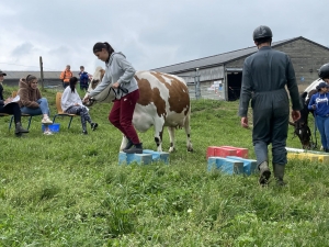 Yssingeaux : les filières équine et agricole rassemblées dans un même concours