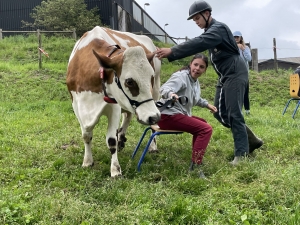 Yssingeaux : les filières équine et agricole rassemblées dans un même concours