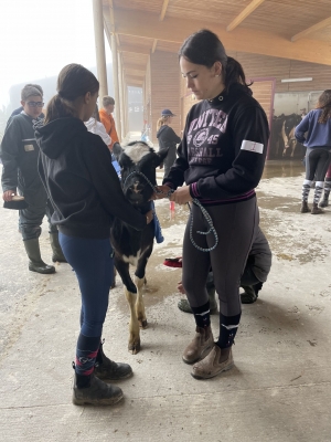 Yssingeaux : les filières équine et agricole rassemblées dans un même concours