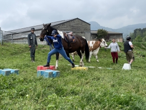 Yssingeaux : les filières équine et agricole rassemblées dans un même concours