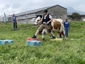 Yssingeaux : les filières équine et agricole rassemblées dans un même concours