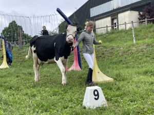 Yssingeaux : les filières équine et agricole rassemblées dans un même concours