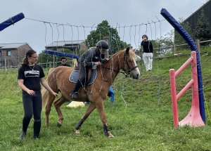 Yssingeaux : les filières équine et agricole rassemblées dans un même concours