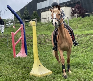 Yssingeaux : les filières équine et agricole rassemblées dans un même concours