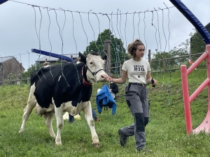 Yssingeaux : les filières équine et agricole rassemblées dans un même concours