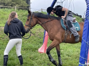 Yssingeaux : les filières équine et agricole rassemblées dans un même concours