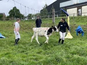 Yssingeaux : les filières équine et agricole rassemblées dans un même concours