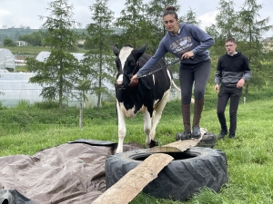 Yssingeaux : les filières équine et agricole rassemblées dans un même concours