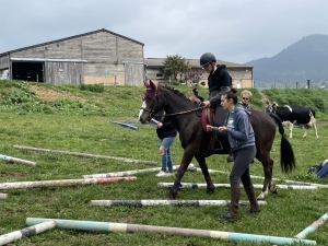 Yssingeaux : les filières équine et agricole rassemblées dans un même concours