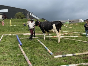 Yssingeaux : les filières équine et agricole rassemblées dans un même concours