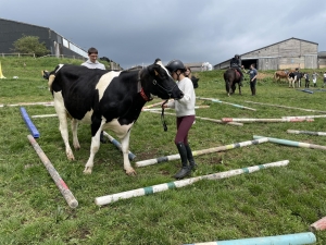 Yssingeaux : les filières équine et agricole rassemblées dans un même concours