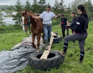 Yssingeaux : les filières équine et agricole rassemblées dans un même concours