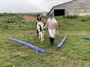 Yssingeaux : les filières équine et agricole rassemblées dans un même concours