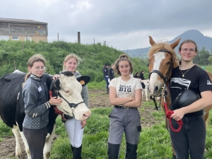 Yssingeaux : les filières équine et agricole rassemblées dans un même concours