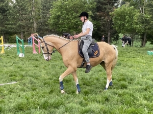 Yssingeaux : les filières équine et agricole rassemblées dans un même concours