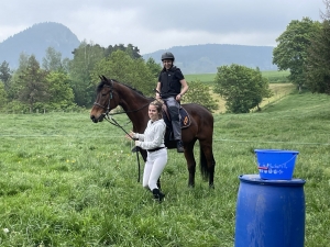 Yssingeaux : les filières équine et agricole rassemblées dans un même concours