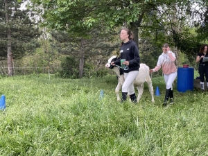 Yssingeaux : les filières équine et agricole rassemblées dans un même concours