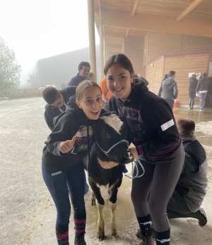 Yssingeaux : les filières équine et agricole rassemblées dans un même concours