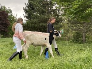 Yssingeaux : les filières équine et agricole rassemblées dans un même concours