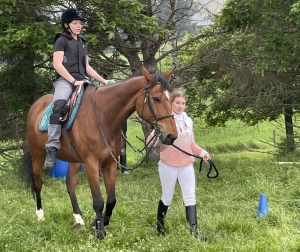 Yssingeaux : les filières équine et agricole rassemblées dans un même concours