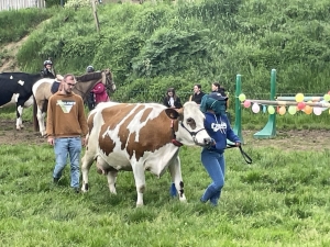 Yssingeaux : les filières équine et agricole rassemblées dans un même concours