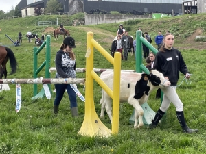 Yssingeaux : les filières équine et agricole rassemblées dans un même concours