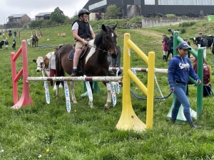 Yssingeaux : les filières équine et agricole rassemblées dans un même concours