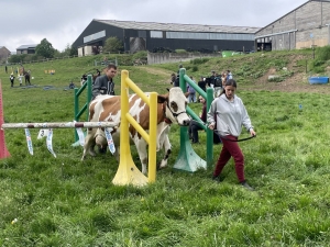 Yssingeaux : les filières équine et agricole rassemblées dans un même concours