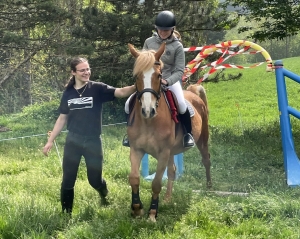 Yssingeaux : les filières équine et agricole rassemblées dans un même concours