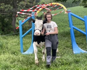 Yssingeaux : les filières équine et agricole rassemblées dans un même concours