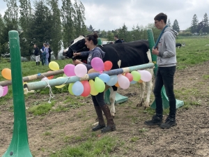 Yssingeaux : les filières équine et agricole rassemblées dans un même concours