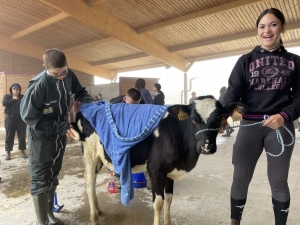 Yssingeaux : les filières équine et agricole rassemblées dans un même concours