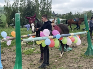 Yssingeaux : les filières équine et agricole rassemblées dans un même concours