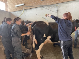 Yssingeaux : les filières équine et agricole rassemblées dans un même concours