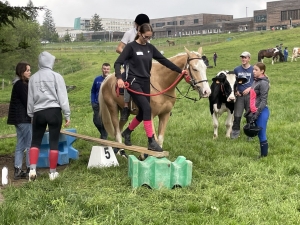 Yssingeaux : les filières équine et agricole rassemblées dans un même concours