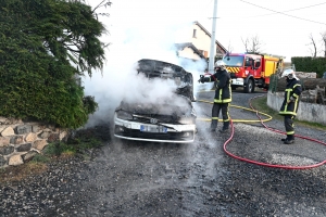 Yssingeaux : un feu de voiture se propage à une haie (vidéo)